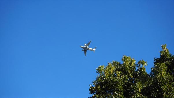 Blue sky, autumn sky, leaves that have begun to color, airplanes, Sayama city, parks Blue sky, autumn sky, leaves that have begun to color, airplanes, Sayama city, parks