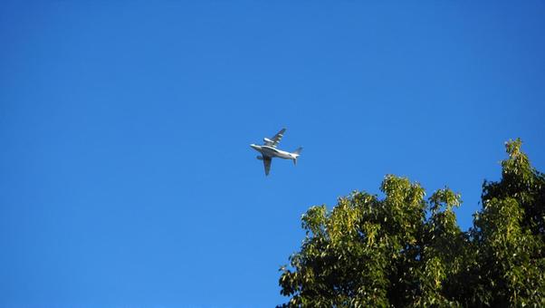 Blue sky, autumn sky, leaves that have begun to color, airplanes, Sayama city, parks, blue sky, autumn sky, sunny sky, JPG