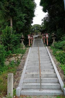 パワースポット宝塚市川面　皇太神社④参道の写真