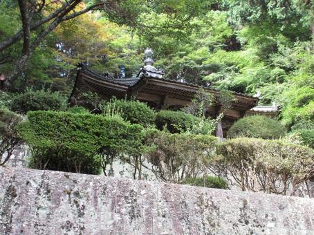 徳島県-箸蔵寺-薬師堂 徳島県-箸蔵寺-薬師堂の写真
