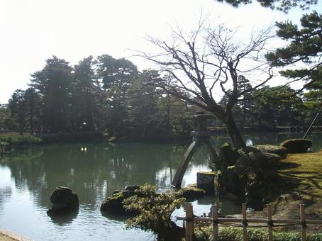 破調の美 兼六園,石川県,金沢の写真素材