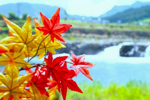 川、滝、もみじ 川、滝、もみじの写真