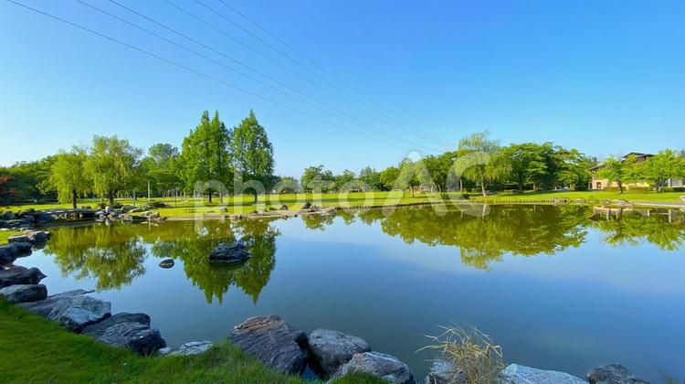 朝の北部公園（金沢市）：19 公園,春,夏の写真素材