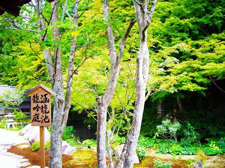 京都 南禅寺~龍吟庭 京都 南禅寺~龍吟庭の写真