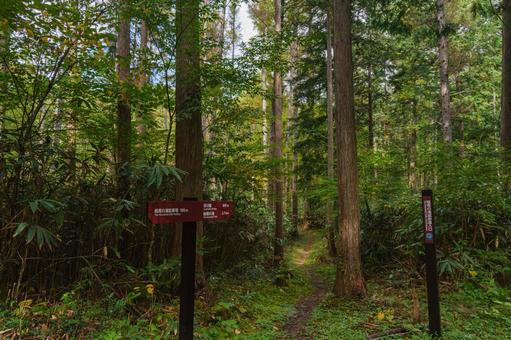 山の中の案内板（飛騨小坂 根尾の滝）の写真