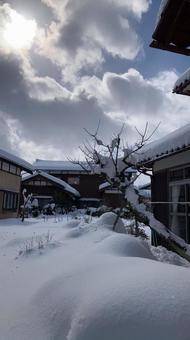 大雪 大雪の写真