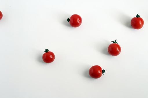 ミニトマトの散らばり ミニトマトの散らばり トマト,ミニトマト,赤色の写真素材
