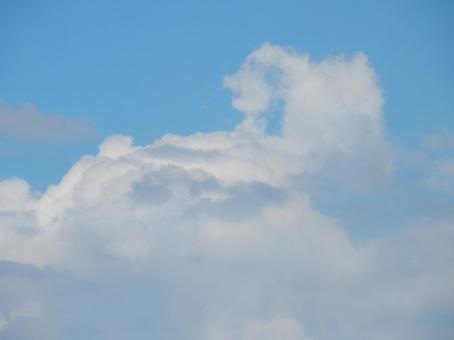 【空の写真】夏空 【空の写真】夏空の写真
