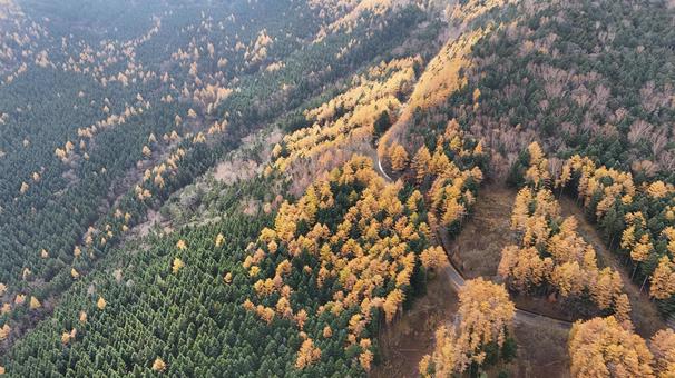 山紅葉007 山,紅葉,山紅葉の写真素材
