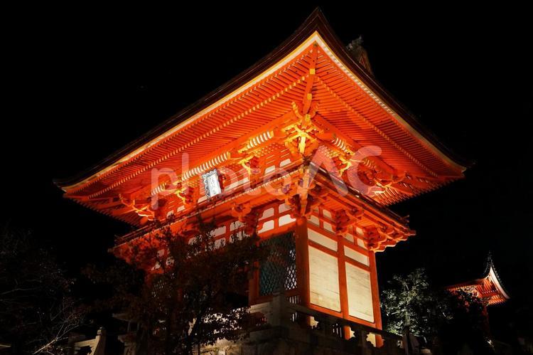 京都・秋の清水寺ライトアップ　仁王門 京都,清水寺,仁王門の写真素材
