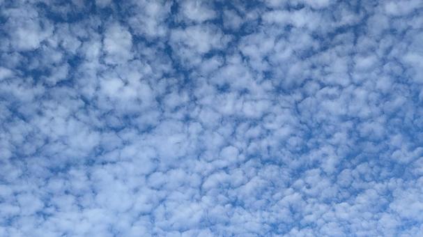うろこ雲の素材写真 うろこ雲の素材写真 うろこ雲,高層雲,雲の写真素材