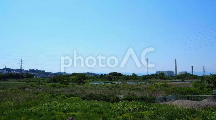初夏の多摩川・新緑の河川敷・東京都府中市 初夏,多摩川,新緑の写真素材