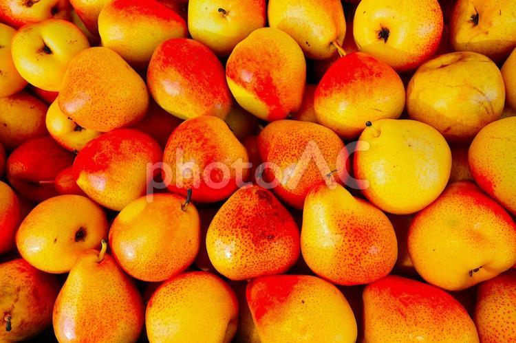 洋梨　 洋ナシ,梨,コレーラペアの写真素材