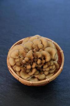 舞茸 舞茸 舞茸,キノコ,食材の写真素材