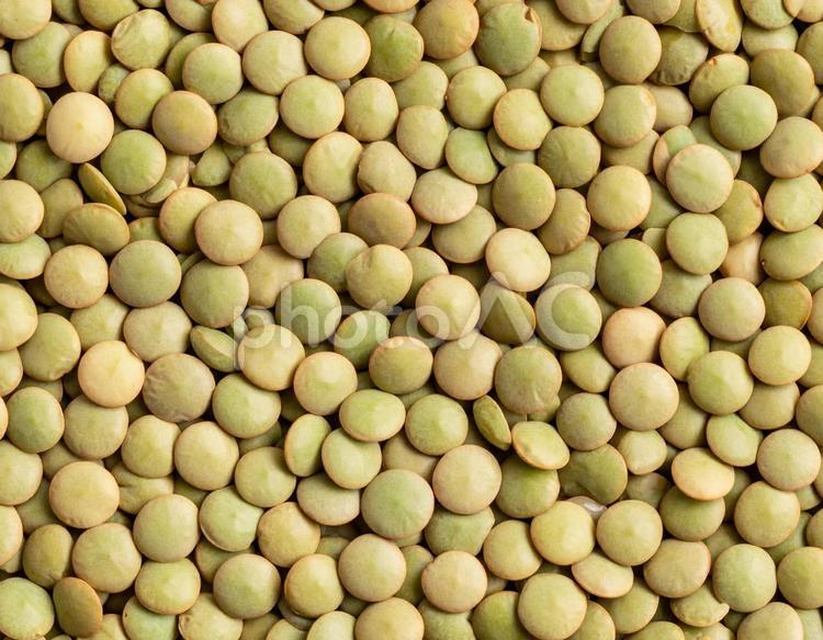 グリーンレンズ豆の集合 レンズ豆,豆,食材の写真素材