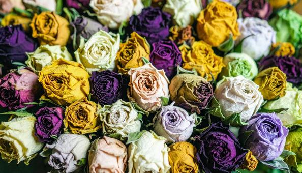 プリザーブドフラワー プリザーブドフラワーの写真