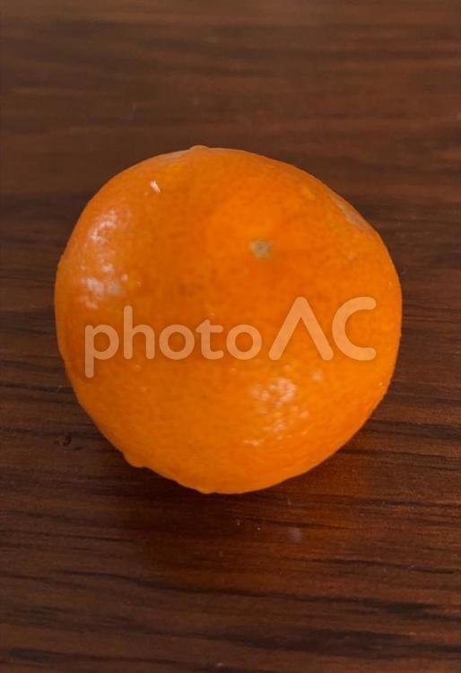 R7.07.03　マーコットみかん みかん,マーコット,マーコットみかんの写真素材