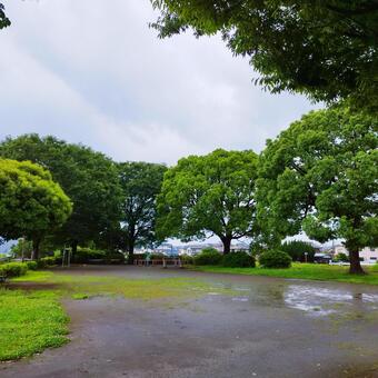 雨の公園① 公園,雨,雨上がりの写真素材