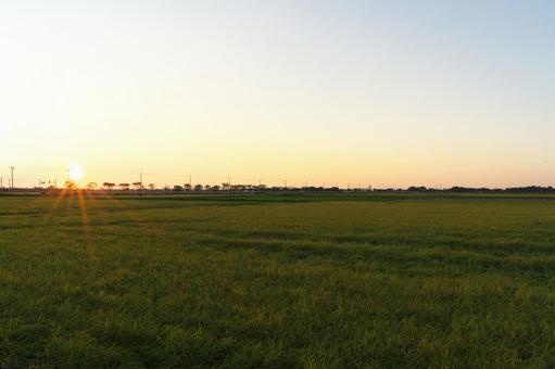 田んぼの夕景 田んぼの夕景 田んぼ,夕日,空の写真素材