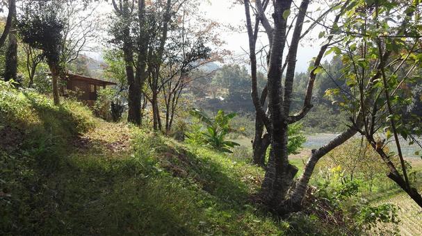 10月 山の小道 2 10月 山の小道 2 里山,山,散歩道の写真素材