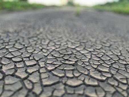 ひび割れの道 ひび割れの道の写真