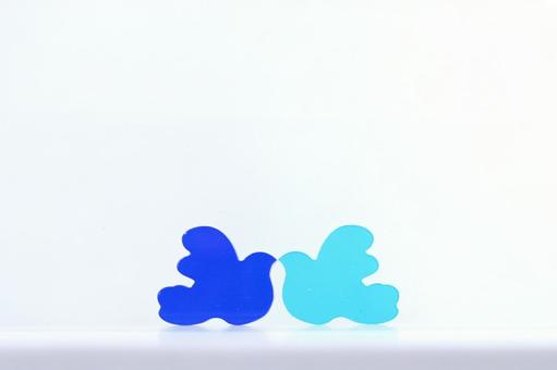 2色の鳩_blue&blue 2色の鳩_blue&blue ブルー,青,ロイヤルブルーの写真素材