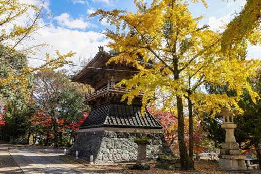 安勝寺　鐘楼と紅葉 寂静山安勝寺,安勝寺,浄土真宗の写真素材