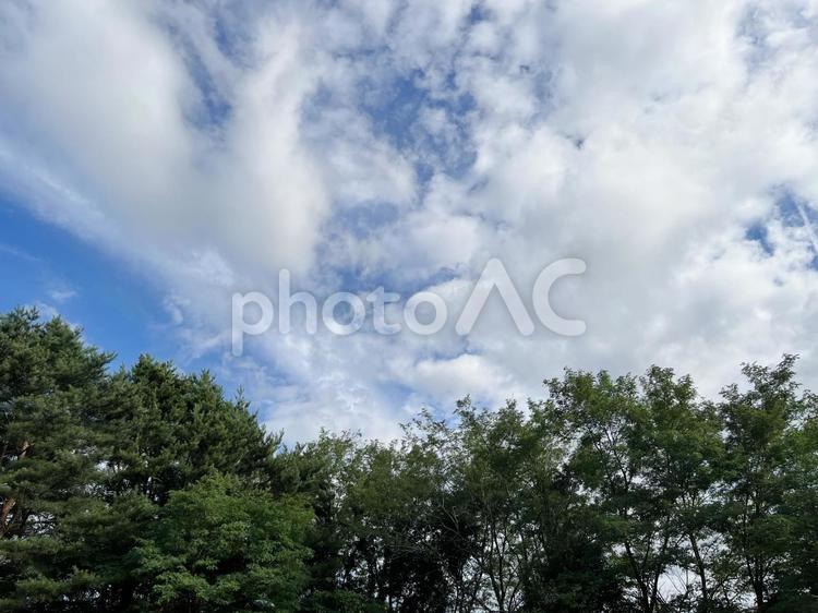 青空と雲の風景 雲,背景,素材の写真素材