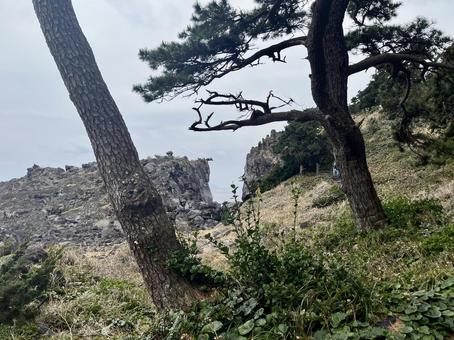 海と崖 海と崖の写真