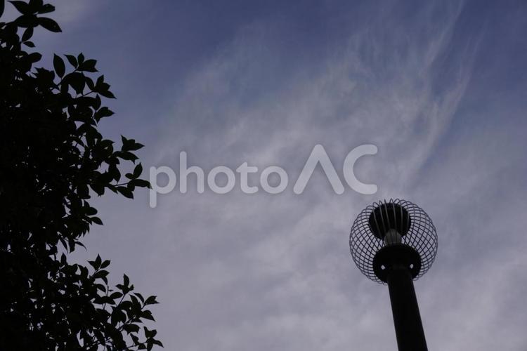 夕空と街灯 夕空,街灯,空の写真素材