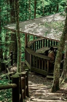付知峡の自然風景 付知峡の自然風景 付知峡,自然,風景の写真素材