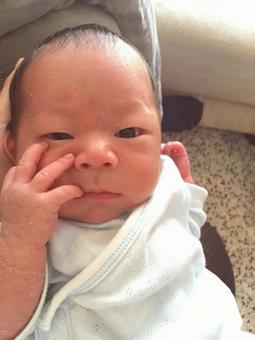 生後15日の新生児 生後15日の新生児の写真
