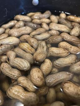 市民農園で収穫した落花生の塩茹で 市民農園で収穫した落花生の塩茹で 落花生,らっかせい,豆の写真素材