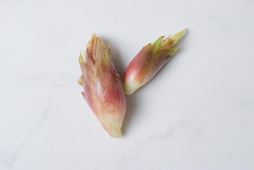 白背景で撮った2個のミョウガ 白背景で撮った2個のミョウガ ミョウガ,薬味,茗荷の写真素材