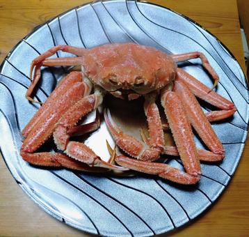 茹でたズワイガニ ずわい,ゆでたて,蟹の写真素材