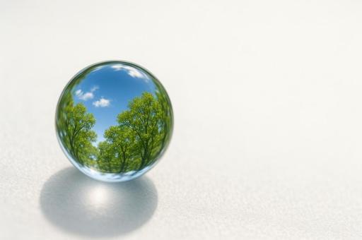 水滴に映る青空と木々の写真