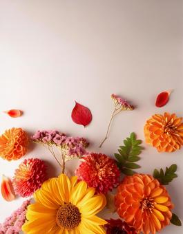 花の素材の写真