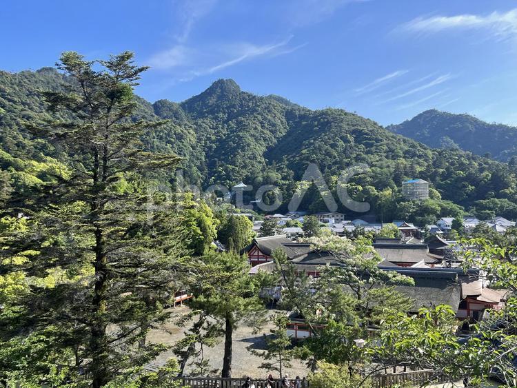 自然と街並み 山,風景,木の写真素材