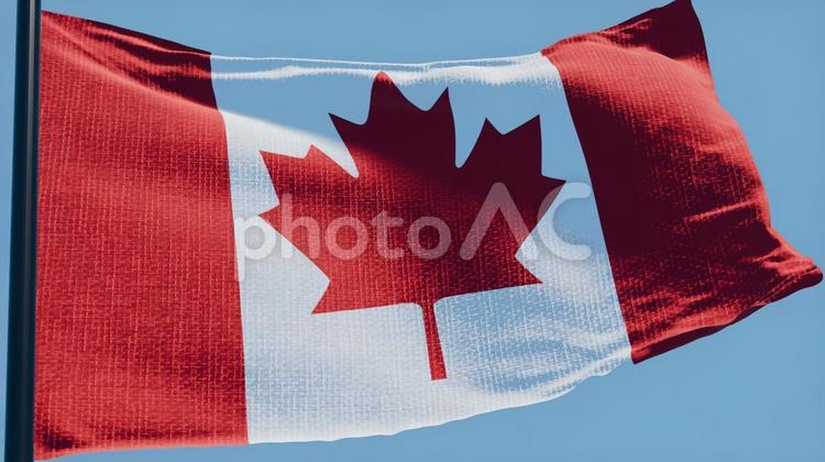カナダ国旗・風になびく カナダ,国旗,旗の写真素材