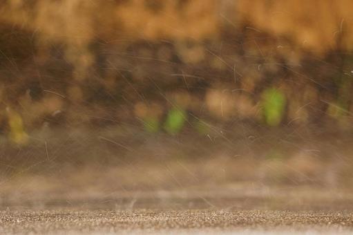 地面にはねる雨 地面にはねる雨の写真