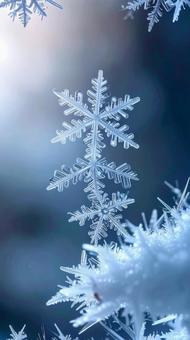 雪の結晶 マクロ クローズアップ 雪の結晶 マクロ クローズアップの写真