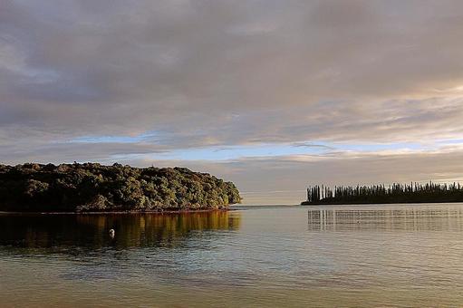 ニューカレドニア　イルデパン島31　夕景 ニューカレドニア,イルデパン島,ウレテラビーチホテルの写真素材