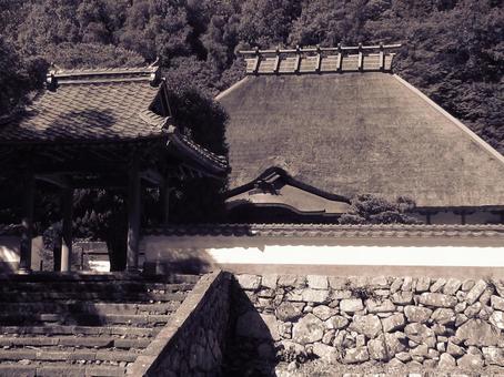 島根県-永明寺-本堂と中雀門 島根県-永明寺-本堂と中雀門 永明寺,寺,覚皇山の写真素材