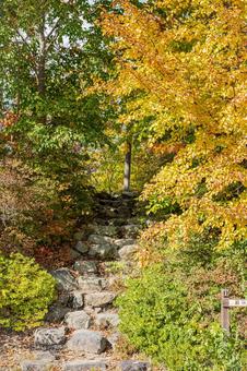 北海道　大沼国定公園　秋の風景 北海道,大沼,函館の写真素材