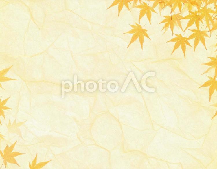 日本の文化・紅葉模様の和紙のテクスチャ 和紙,紙,紅葉の写真素材