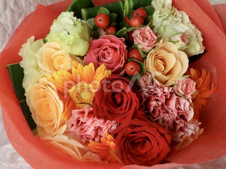 赤いバラが入った華やかな花束 花束,バラ,赤の写真素材