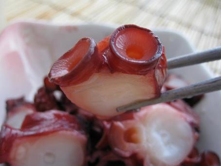 たこ煮 蛸 タコ煮物 蛸料理 柔らか煮 たこ煮 蛸 タコ煮物 蛸料理 柔らか煮 たこ煮,蛸,タコ煮物の写真素材