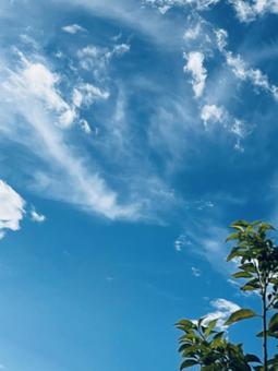 雲と空と… 雲と空と…の写真