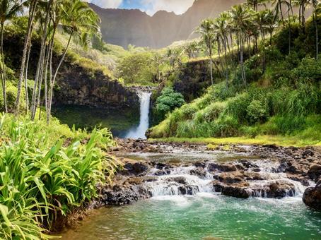 水が流れる川・自然の景色 水が流れる川・自然の景色の写真