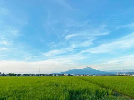 田舎の風景・田んぼと夏の空と鳥海山 田舎の風景・田んぼと夏の空と鳥海山の写真